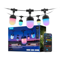 Outdoor Chromatic String Lights